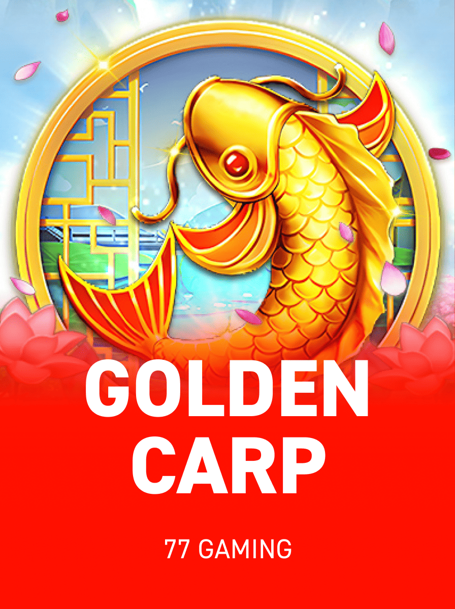 VirtualRace Casino: Live Dealer Games Versus RNG Alternatives